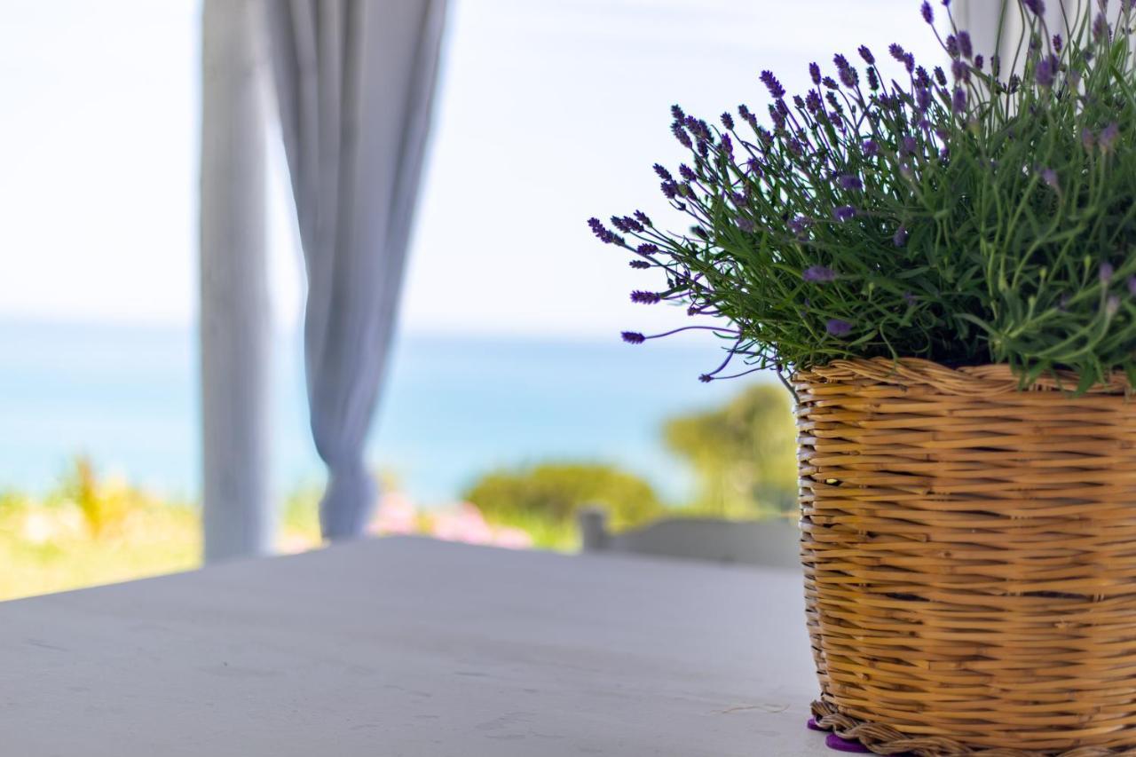 Aparthotel Diamante Costa Dei Trabocchi Vasto